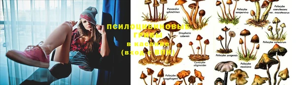 спиды Балабаново