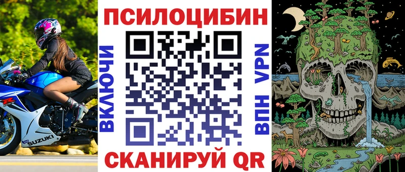 Псилоцибиновые грибы Magic Shrooms  купить закладку  Новоульяновск 